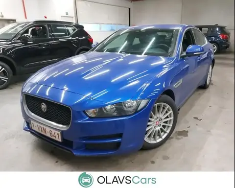 Annonce JAGUAR XE Diesel 2019 d'occasion 