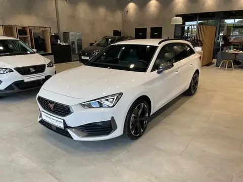 Annonce CUPRA LEON Diesel 2024 d'occasion 