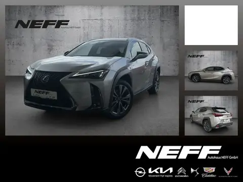 Annonce LEXUS UX Hybride 2024 d'occasion 