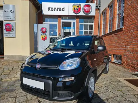 Annonce FIAT PANDA Essence 2024 d'occasion 