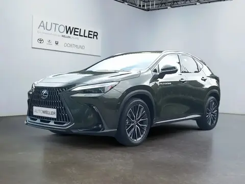 Used LEXUS NX Hybrid 2024 Ad 