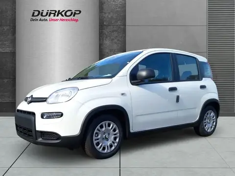 Used FIAT PANDA Hybrid 2024 Ad 