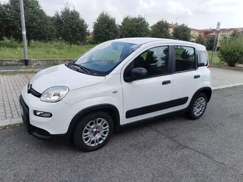 Annonce FIAT PANDA Hybride 2021 d'occasion 