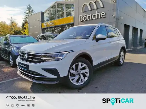 Used VOLKSWAGEN TIGUAN Petrol 2023 Ad 