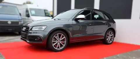 Used AUDI SQ5 Diesel 2017 Ad 