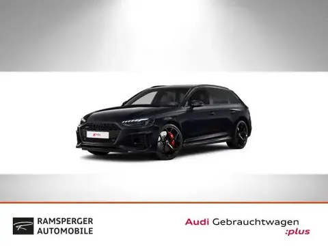 Used AUDI RS4 Petrol 2024 Ad 