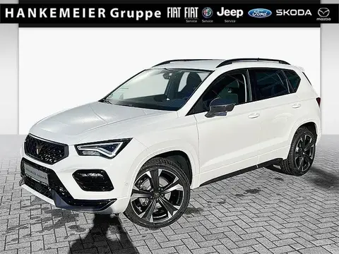 Annonce CUPRA ATECA Essence 2024 d'occasion 