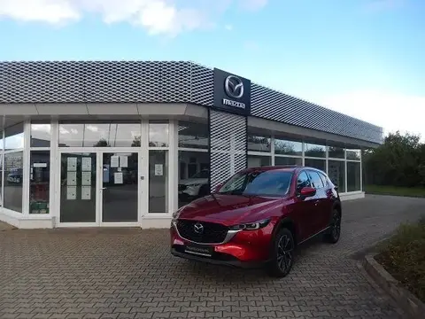 Used MAZDA CX-5 Hybrid 2024 Ad 