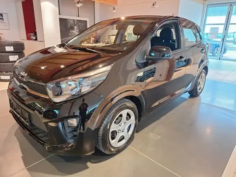 Annonce KIA PICANTO Essence 2024 d'occasion 