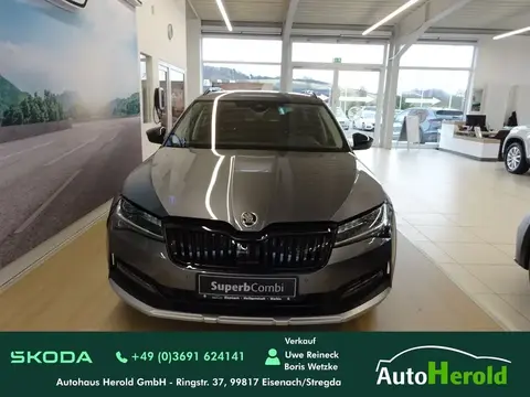 Annonce SKODA SUPERB Diesel 2024 d'occasion 