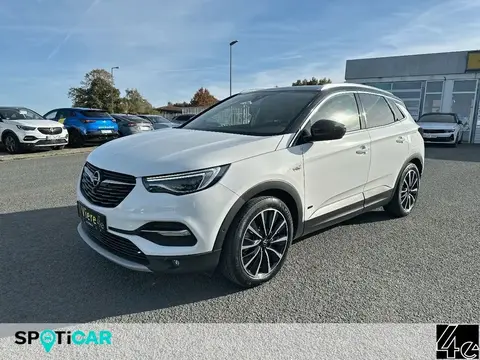 Used OPEL GRANDLAND Hybrid 2021 Ad 