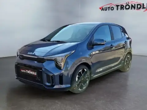 Used KIA PICANTO Petrol 2024 Ad 