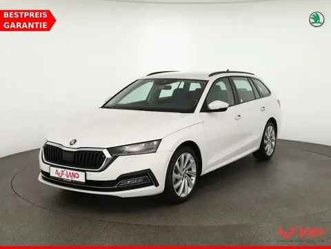 Used SKODA OCTAVIA Diesel 2021 Ad 