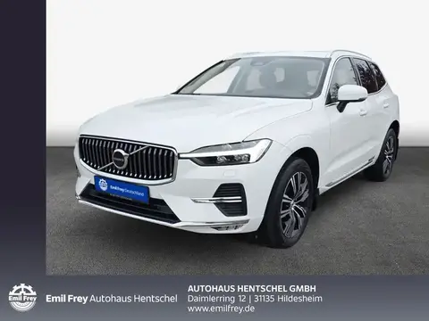 Annonce VOLVO XC60 Diesel 2022 d'occasion 