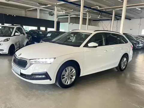 Annonce SKODA OCTAVIA Diesel 2020 d'occasion 