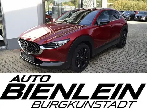 Annonce MAZDA CX-30 Essence 2024 d'occasion 