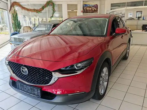 Used MAZDA CX-30 Petrol 2019 Ad 