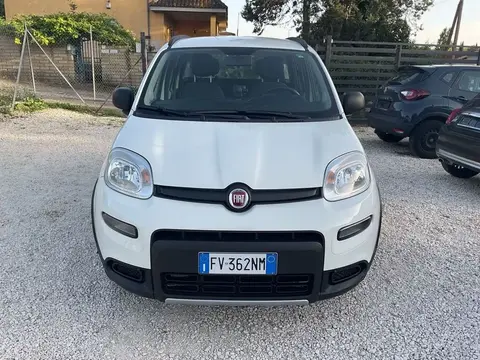 Annonce FIAT PANDA Essence 2019 d'occasion 