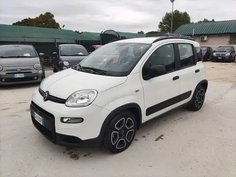 Used FIAT PANDA Hybrid 2022 Ad 