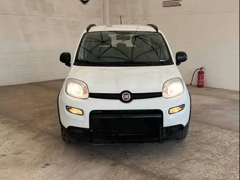 Used FIAT PANDA Hybrid 2022 Ad 