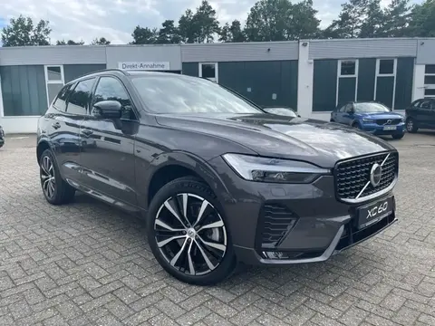 Annonce VOLVO XC60 Diesel 2023 d'occasion 