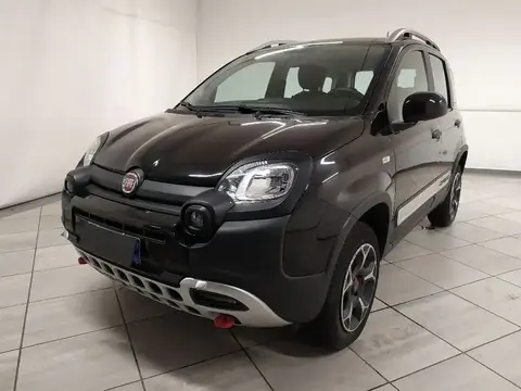 Used FIAT PANDA Petrol 2021 Ad 