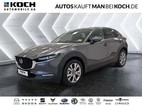 Annonce MAZDA CX-30 Essence 2020 d'occasion 