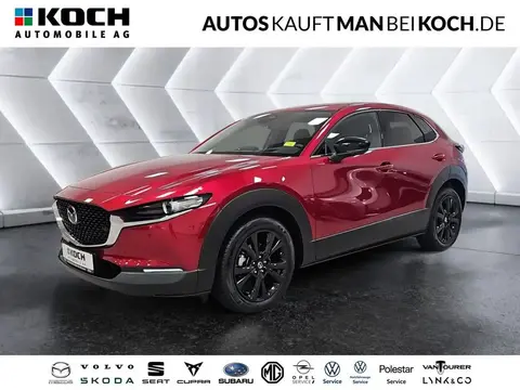 Annonce MAZDA CX-30 Essence 2024 d'occasion 