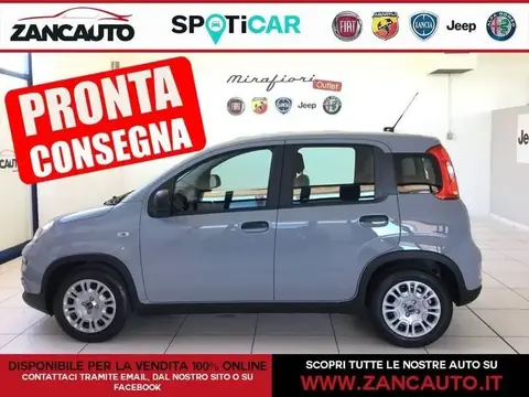 Annonce FIAT PANDA Hybride 2022 d'occasion 