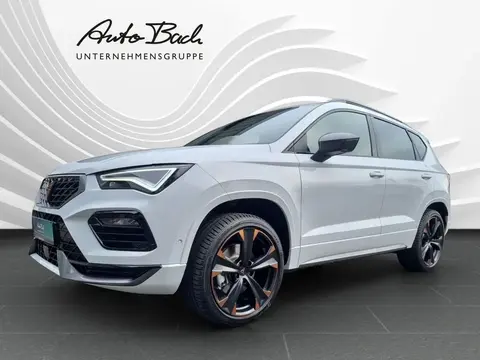 Annonce CUPRA ATECA Essence 2024 d'occasion 