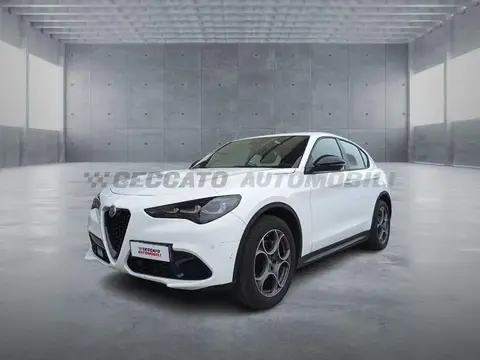 Used ALFA ROMEO STELVIO Diesel 2023 Ad 