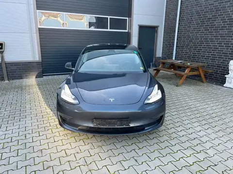 Annonce TESLA MODEL 3 Non renseigné 2019 d'occasion 