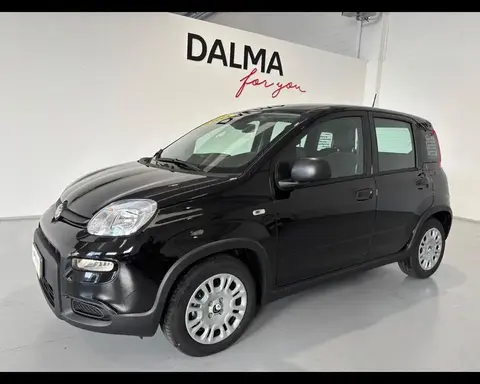 Used FIAT PANDA Petrol 2024 Ad 