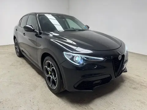 Used ALFA ROMEO STELVIO Diesel 2021 Ad 