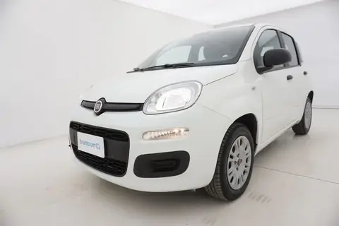 Used FIAT PANDA Petrol 2019 Ad 