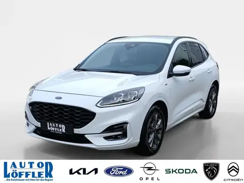 Annonce FORD KUGA Diesel 2020 d'occasion 