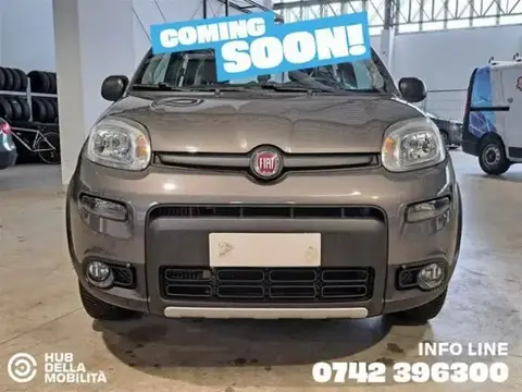 Used FIAT PANDA Petrol 2021 Ad 