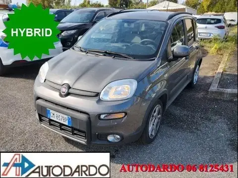 Used FIAT PANDA Hybrid 2022 Ad 