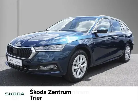 Used SKODA OCTAVIA Diesel 2020 Ad 