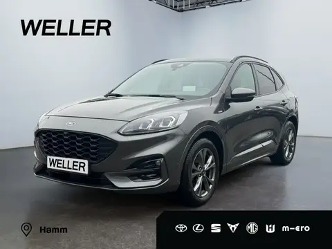 Used FORD KUGA Petrol 2021 Ad 