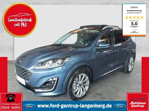 Used FORD KUGA Hybrid 2023 Ad 