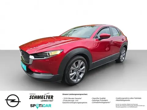 Annonce MAZDA CX-30 Hybride 2020 d'occasion 