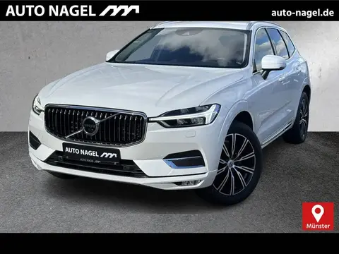 Annonce VOLVO XC60 Diesel 2020 d'occasion 