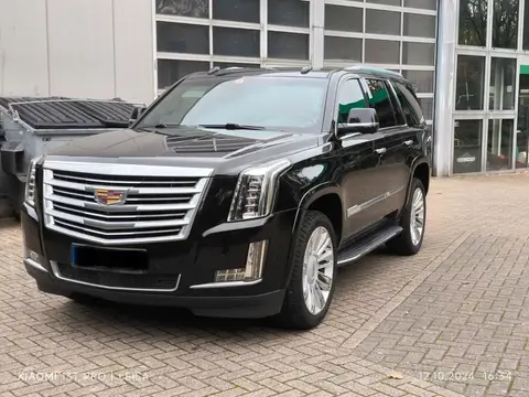 Used CADILLAC ESCALADE Petrol 2018 Ad 