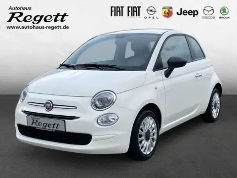 Used FIAT 500 Petrol 2023 Ad 