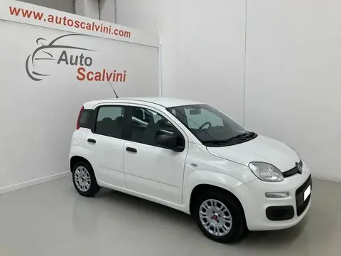 Used FIAT PANDA Petrol 2019 Ad 