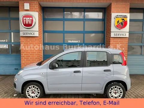 Annonce FIAT PANDA Essence 2021 d'occasion 