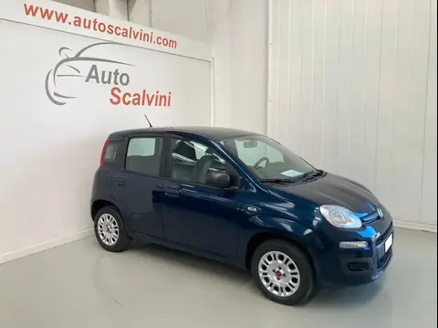 Annonce FIAT PANDA Essence 2019 d'occasion 