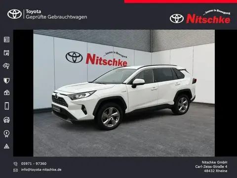 Used TOYOTA RAV4 Hybrid 2021 Ad 