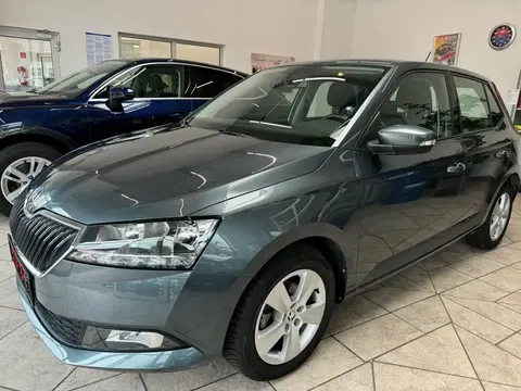 Used SKODA FABIA Petrol 2019 Ad 